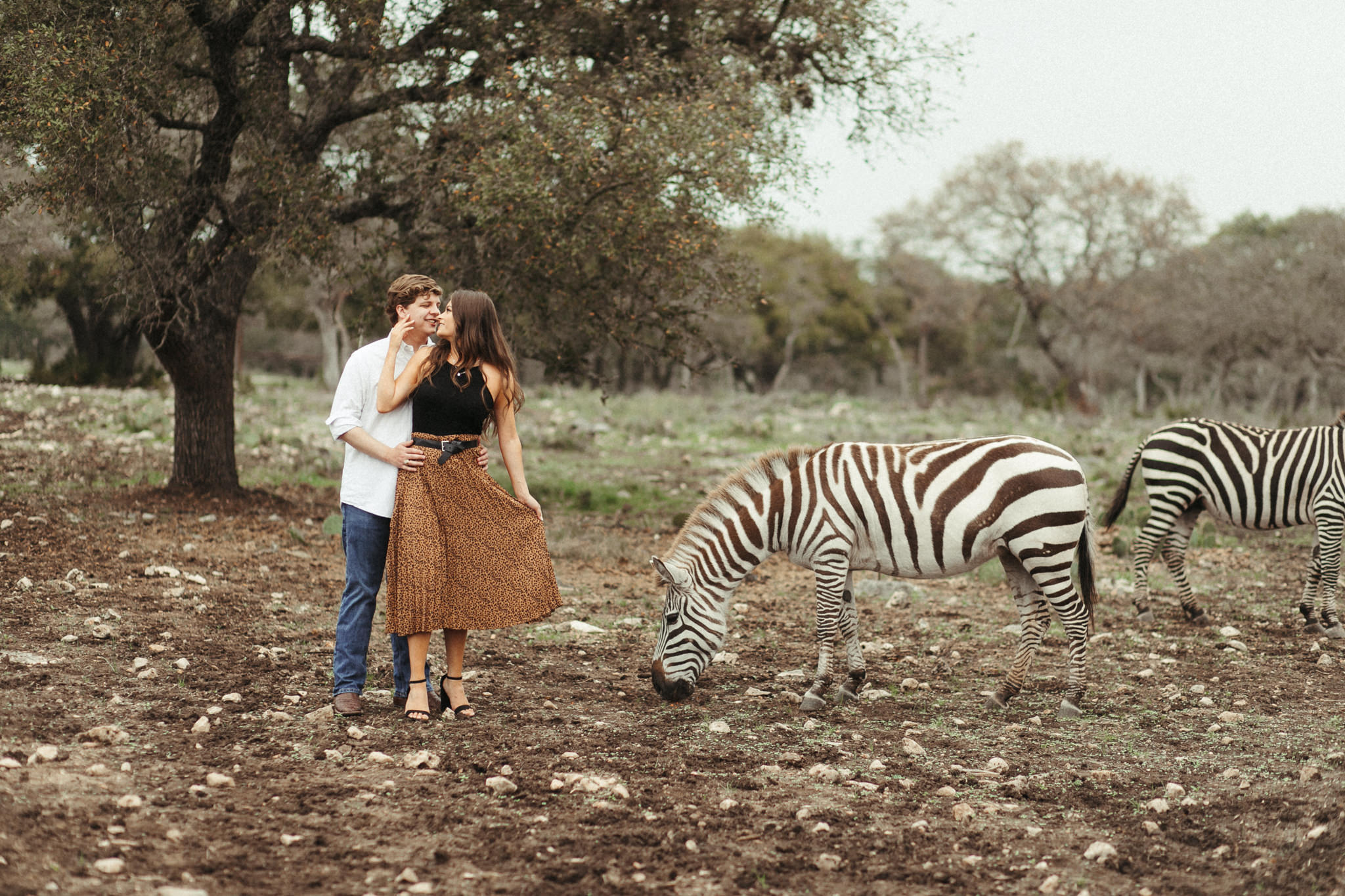 boho couple with zebras